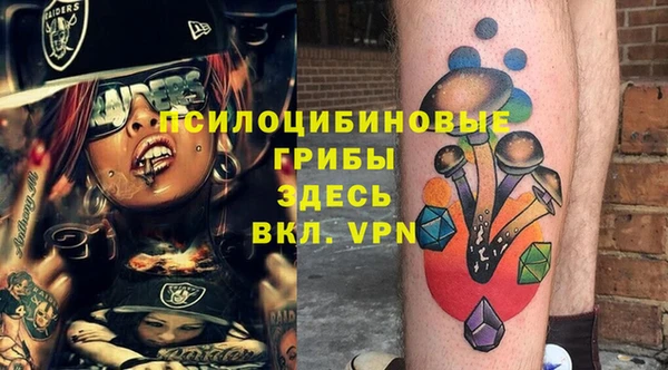 молекула духа Ельня