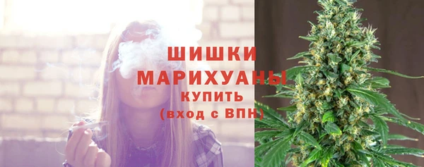 молекула духа Ельня