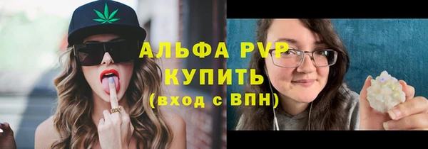 мдпв Елабуга