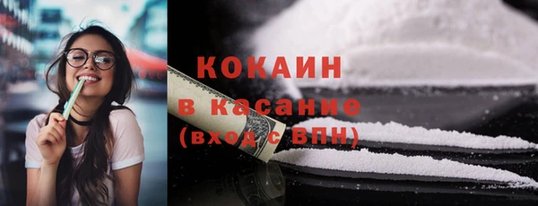 молекула духа Ельня