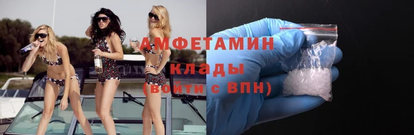 мдпв Елабуга