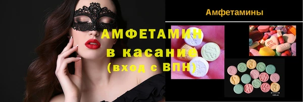 мдпв Елабуга