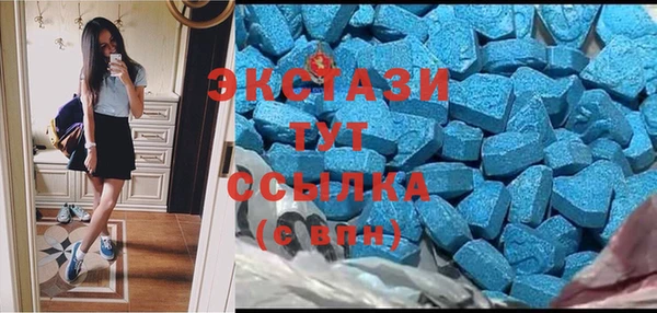 молекула духа Ельня