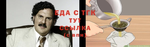 мдпв Елабуга