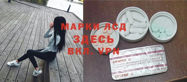 молекула духа Ельня