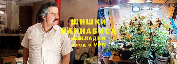 молекула духа Ельня