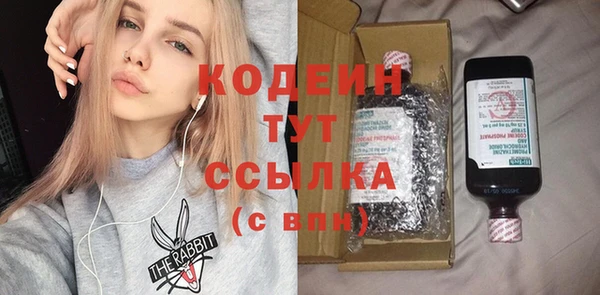 хмурый Елизово