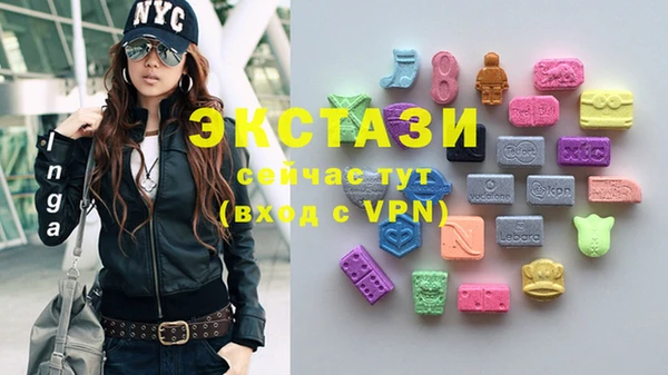 молекула духа Ельня