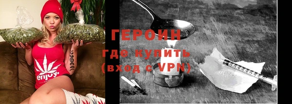 молекула духа Ельня