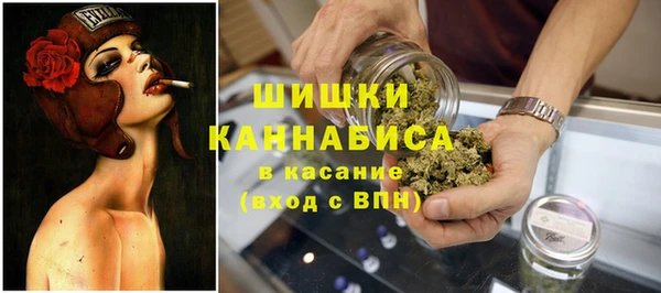 мдпв Елабуга