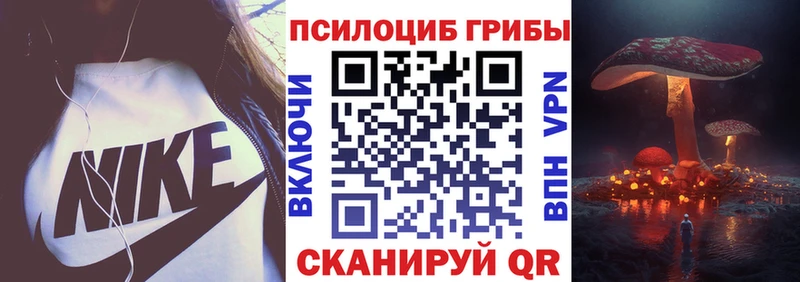 маркетплейс официальный сайт  мега tor  Новый Уренгой  Псилоцибиновые грибы Cubensis 